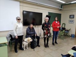 CONS DISCAPACIDAD ACTIV INVIDENTES 28-01-2020